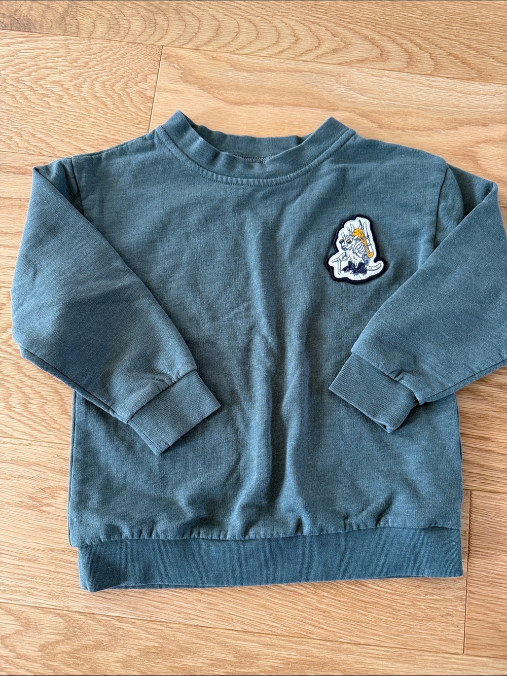 Patagonia toddler sweatshirt 3T - gray green EUC